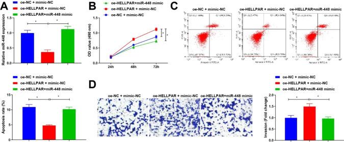 https://cdn.ncbi.nlm.nih.gov/pmc/blobs/8d06/12095706/cd099ac39fa5/12672_2025_2565_Fig4_HTML.jpg