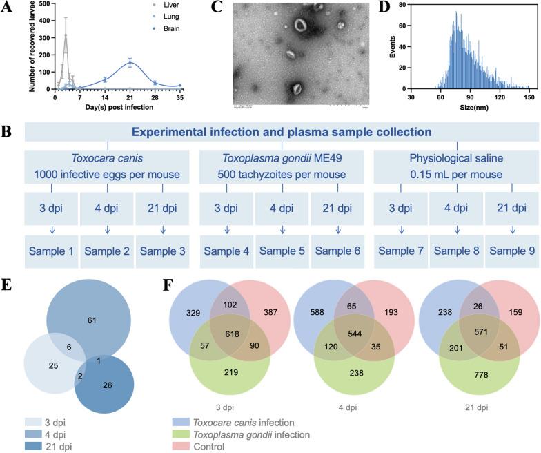 https://cdn.ncbi.nlm.nih.gov/pmc/blobs/8d07/11167859/484ee271e5b1/13071_2024_6327_Fig2_HTML.jpg