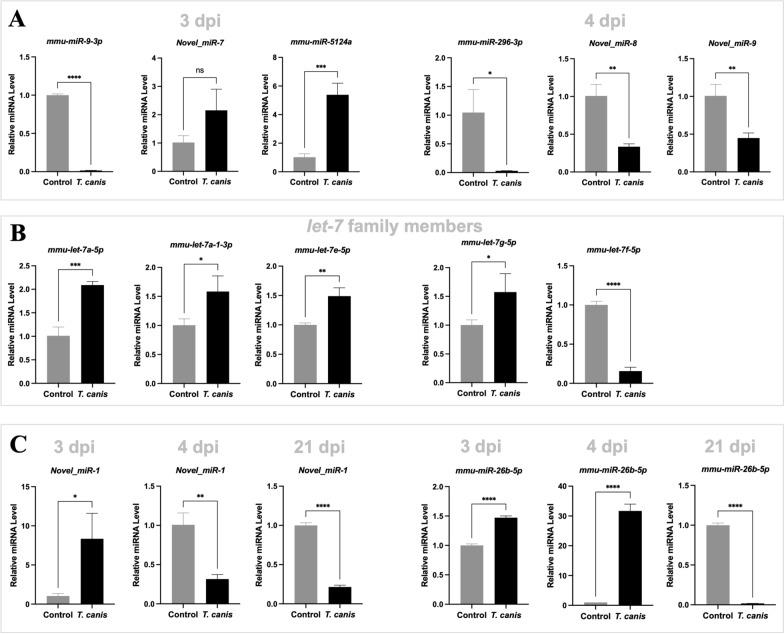 https://cdn.ncbi.nlm.nih.gov/pmc/blobs/8d07/11167859/a3d31a1e5a55/13071_2024_6327_Fig5_HTML.jpg