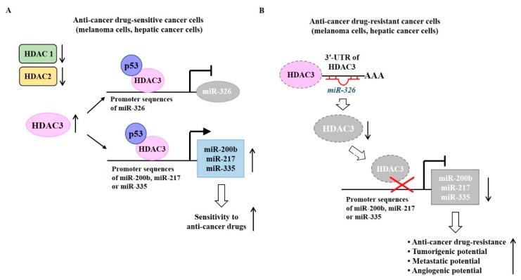 https://cdn.ncbi.nlm.nih.gov/pmc/blobs/8d08/6337380/546b9ff3f941/ijms-20-00051-g004.jpg