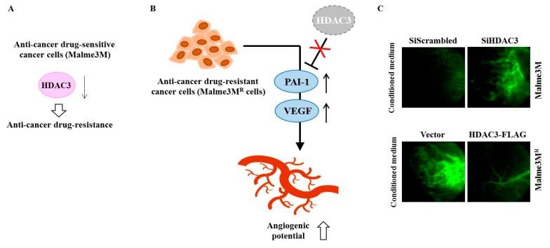 https://cdn.ncbi.nlm.nih.gov/pmc/blobs/8d08/6337380/5590540768e6/ijms-20-00051-g003.jpg
