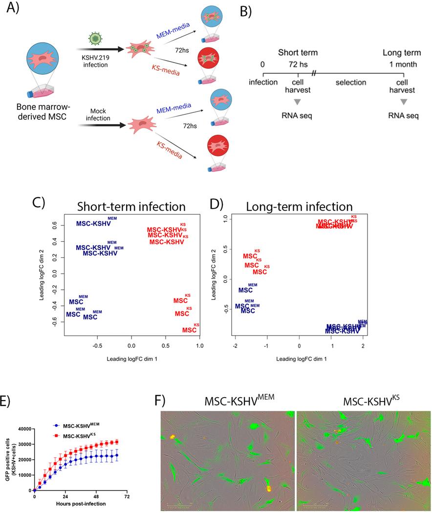 https://cdn.ncbi.nlm.nih.gov/pmc/blobs/8d09/12068558/1e826f96ff5d/nihms-2045162-f0001.jpg