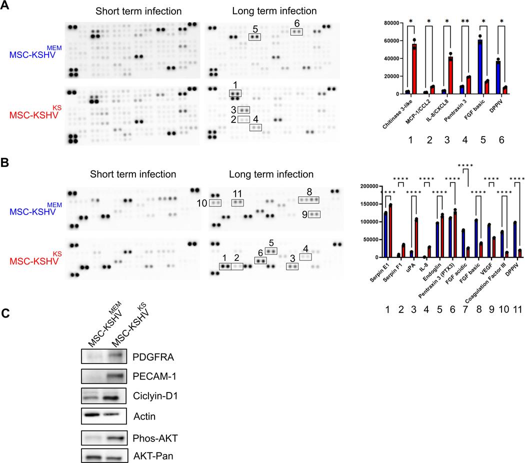 https://cdn.ncbi.nlm.nih.gov/pmc/blobs/8d09/12068558/4af0d74e079a/nihms-2045162-f0003.jpg