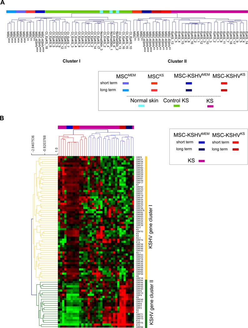 https://cdn.ncbi.nlm.nih.gov/pmc/blobs/8d09/12068558/88ab5c99792d/nihms-2045162-f0007.jpg
