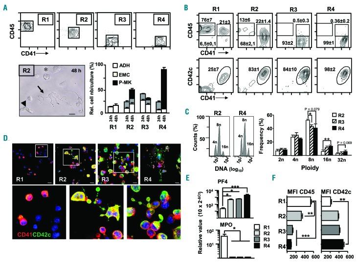 https://cdn.ncbi.nlm.nih.gov/pmc/blobs/8d09/6717566/4664d03f7807/1041853.fig5.jpg