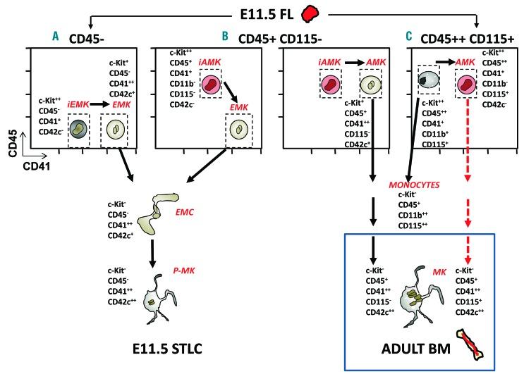 https://cdn.ncbi.nlm.nih.gov/pmc/blobs/8d09/6717566/6304cfeb6651/1041853.fig7.jpg
