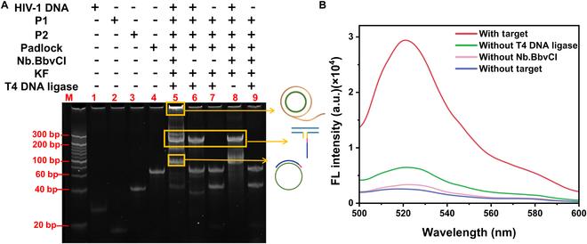 https://cdn.ncbi.nlm.nih.gov/pmc/blobs/8d0a/12214299/58b5eabc3858/bmef.0139.fig.002.jpg