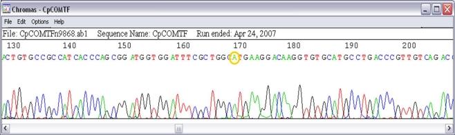 https://cdn.ncbi.nlm.nih.gov/pmc/blobs/8d0b/2965016/3c1e7ce20f97/fnbeh-04-00160-g004.jpg