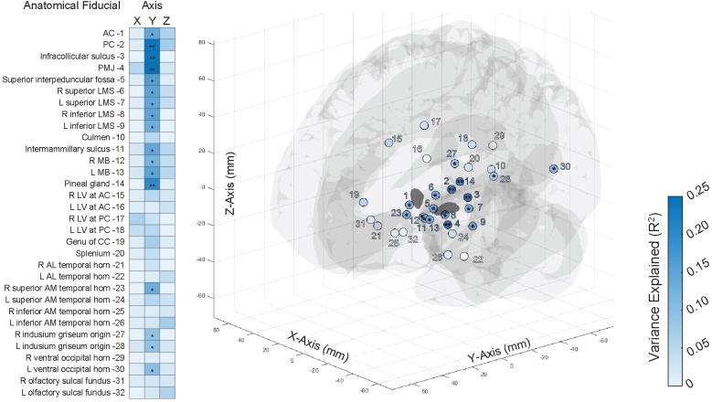 https://cdn.ncbi.nlm.nih.gov/pmc/blobs/8d0e/12319956/b3032160fc4f/imag_a_00579_fig5.jpg