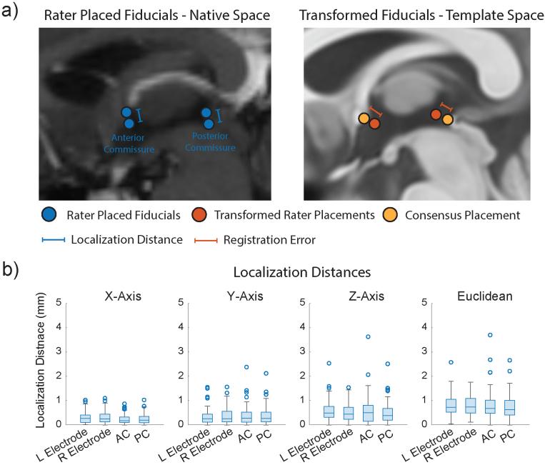 https://cdn.ncbi.nlm.nih.gov/pmc/blobs/8d0e/12319956/d32e1d95071a/imag_a_00579_fig1.jpg