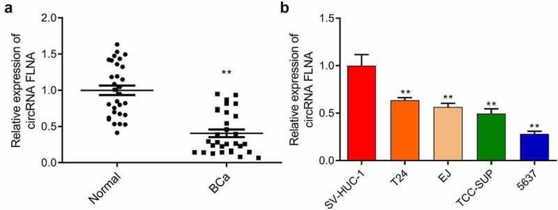 https://cdn.ncbi.nlm.nih.gov/pmc/blobs/8d0f/8810163/13fefc44e7ef/KBIE_A_2008659_F0001_OC.jpg
