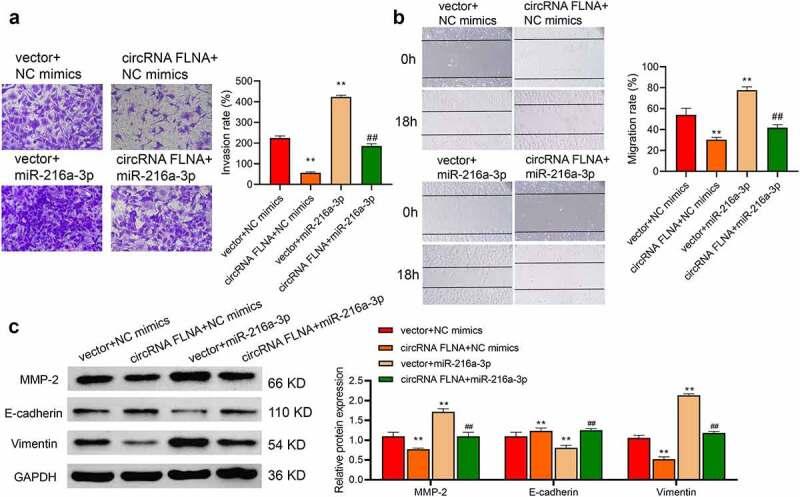 https://cdn.ncbi.nlm.nih.gov/pmc/blobs/8d0f/8810163/711dcf8825ac/KBIE_A_2008659_F0006_OC.jpg