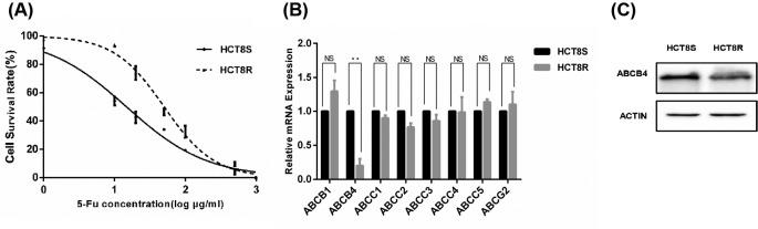 https://cdn.ncbi.nlm.nih.gov/pmc/blobs/8d10/5821943/0fa88e189dab/bsr-38-bsr20171428-g1.jpg