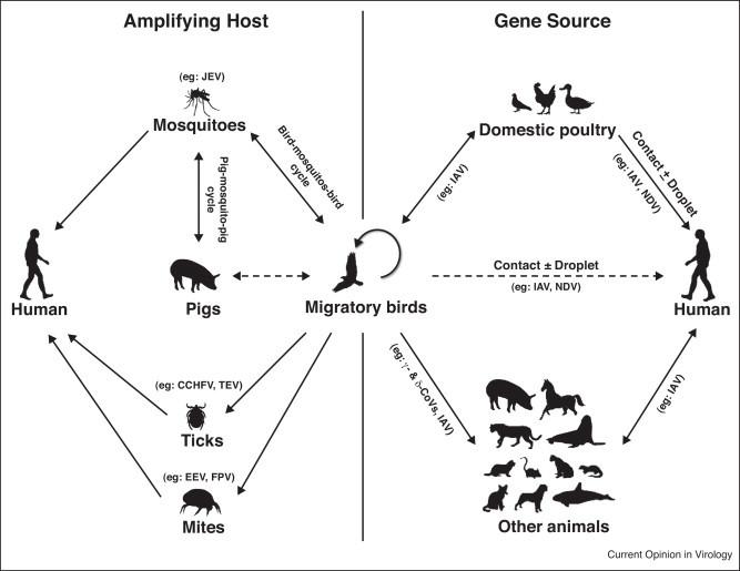 https://cdn.ncbi.nlm.nih.gov/pmc/blobs/8d10/7102742/22d418f1b88d/gr1.jpg