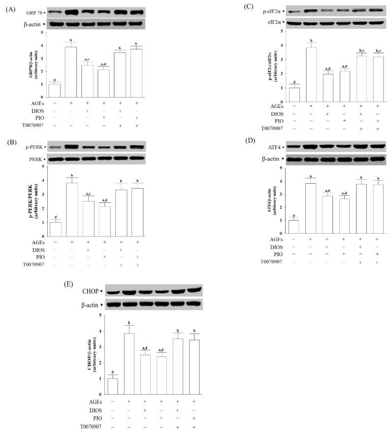 https://cdn.ncbi.nlm.nih.gov/pmc/blobs/8d10/9183070/731b0b0ea226/nutrients-14-02248-g004.jpg