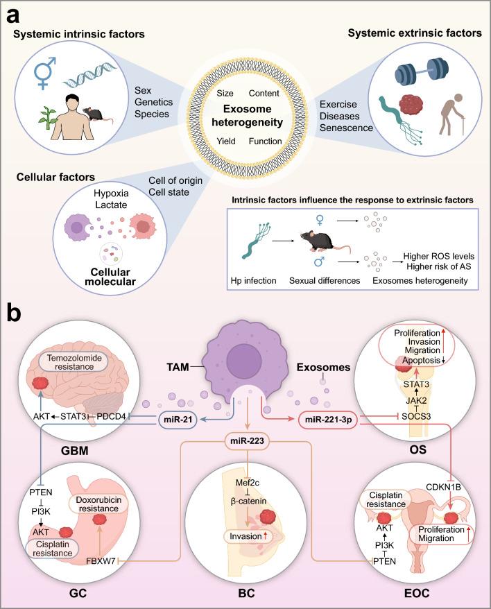 https://cdn.ncbi.nlm.nih.gov/pmc/blobs/8d11/12034189/6fede10528a0/12951_2025_3321_Fig2_HTML.jpg