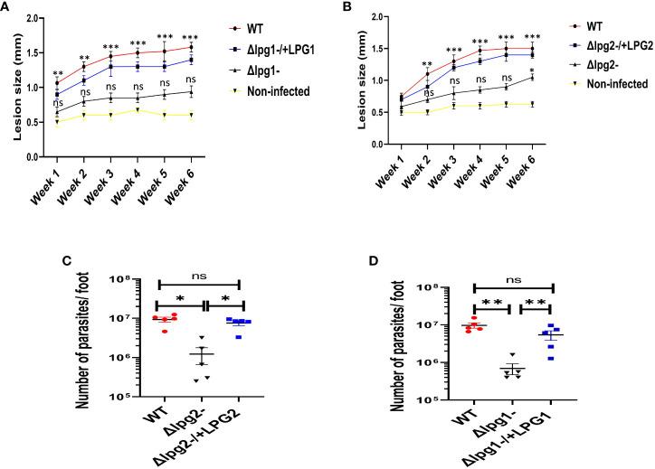 https://cdn.ncbi.nlm.nih.gov/pmc/blobs/8d12/10598878/009c20af4732/fimmu-14-1257046-g005.jpg