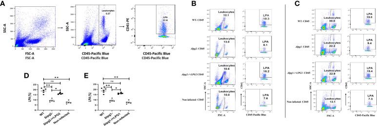 https://cdn.ncbi.nlm.nih.gov/pmc/blobs/8d12/10598878/1264c9a8e915/fimmu-14-1257046-g007.jpg