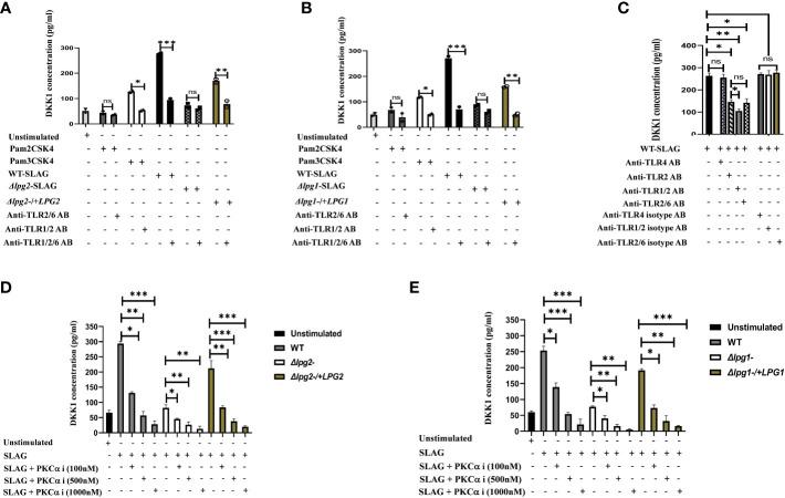 https://cdn.ncbi.nlm.nih.gov/pmc/blobs/8d12/10598878/5f604e0c02d2/fimmu-14-1257046-g006.jpg