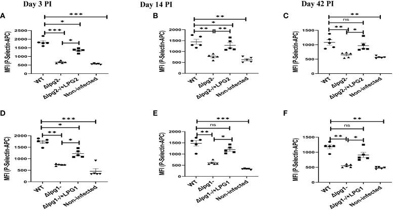 https://cdn.ncbi.nlm.nih.gov/pmc/blobs/8d12/10598878/f2d5538c94c0/fimmu-14-1257046-g001.jpg