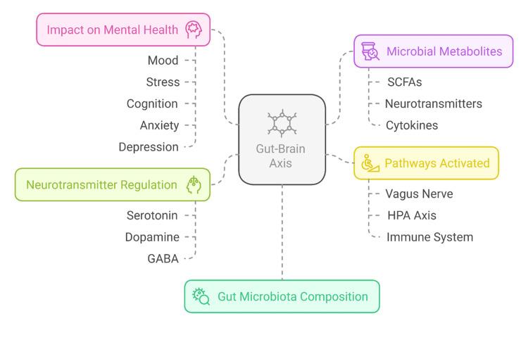 https://cdn.ncbi.nlm.nih.gov/pmc/blobs/8d12/12007925/c60763ac6a14/cureus-0017-00000080810-i01.jpg