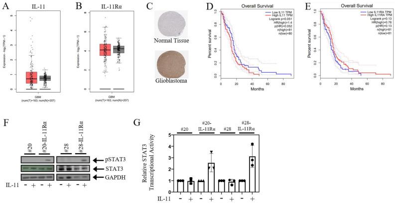https://cdn.ncbi.nlm.nih.gov/pmc/blobs/8d15/10813507/61ef085dd6fb/brainsci-14-00089-g001.jpg