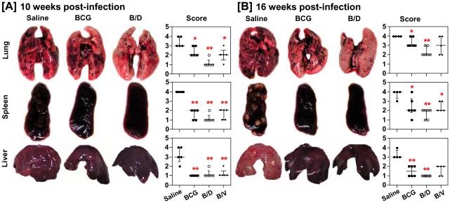 https://cdn.ncbi.nlm.nih.gov/pmc/blobs/8d16/3157374/04337a30f651/pone.0023360.g002.jpg