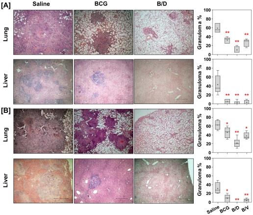 https://cdn.ncbi.nlm.nih.gov/pmc/blobs/8d16/3157374/09ffc15366d1/pone.0023360.g003.jpg