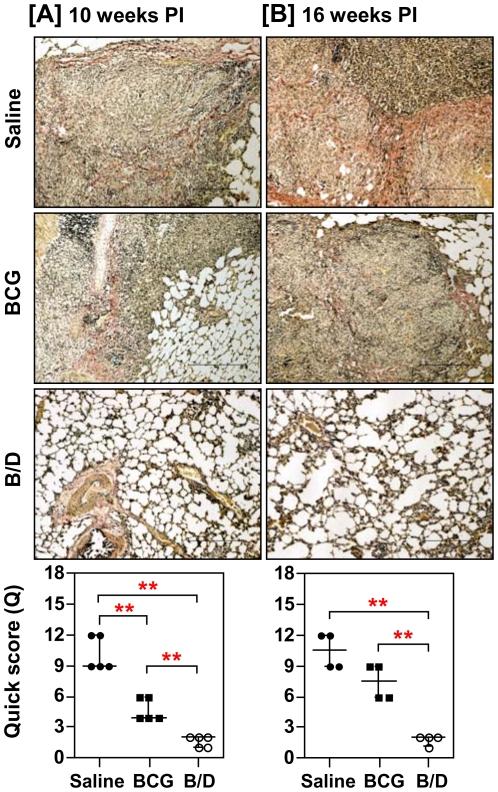 https://cdn.ncbi.nlm.nih.gov/pmc/blobs/8d16/3157374/945e3c5572bd/pone.0023360.g005.jpg