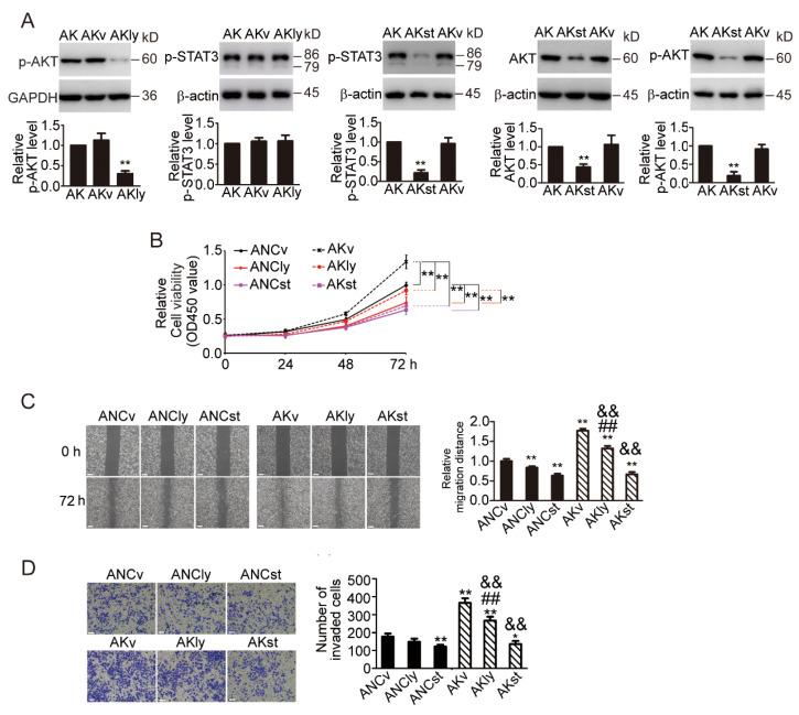 https://cdn.ncbi.nlm.nih.gov/pmc/blobs/8d17/10740774/343b687d23a3/biomedicines-11-03194-g007.jpg