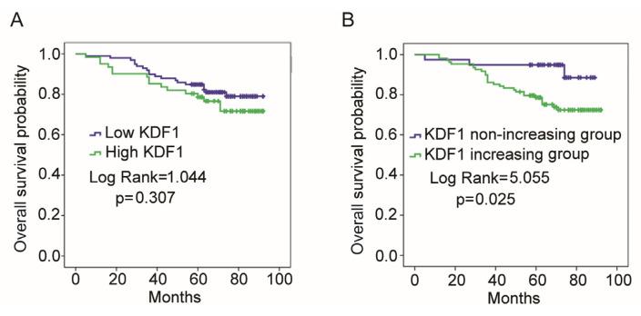 https://cdn.ncbi.nlm.nih.gov/pmc/blobs/8d17/10740774/a6db3251c7a9/biomedicines-11-03194-g003.jpg