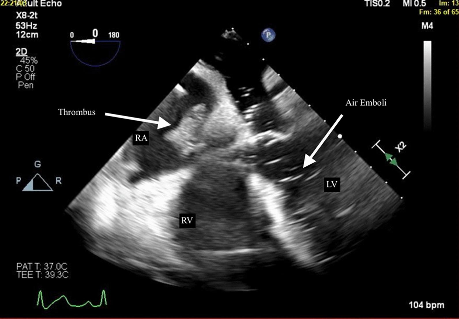https://cdn.ncbi.nlm.nih.gov/pmc/blobs/8d19/10874554/5103c8c4f1aa/13256_2024_4376_Fig1_HTML.jpg