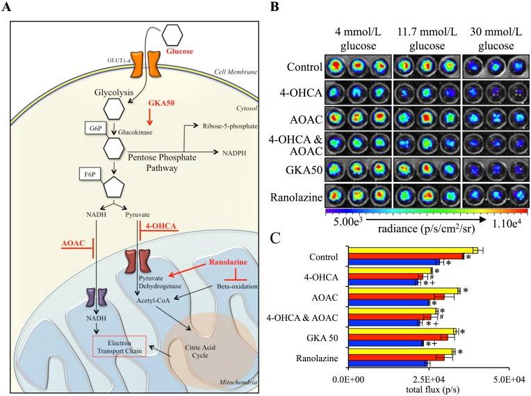 https://cdn.ncbi.nlm.nih.gov/pmc/blobs/8d19/4709142/ffcd184532ea/pone.0146601.g003.jpg