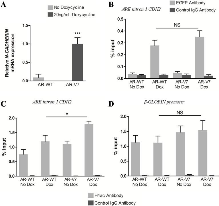 https://cdn.ncbi.nlm.nih.gov/pmc/blobs/8d1a/5641107/353c4fd38e29/oncotarget-08-72008-g003.jpg