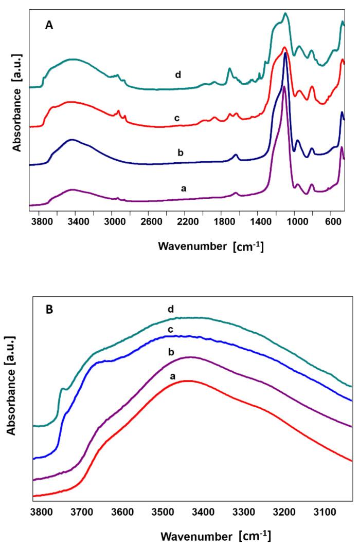 https://cdn.ncbi.nlm.nih.gov/pmc/blobs/8d1a/7916496/b9a43b37c9c7/materials-14-00843-g003.jpg