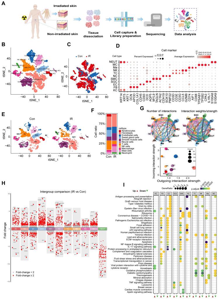 https://cdn.ncbi.nlm.nih.gov/pmc/blobs/8d1b/11426238/6eab76b8b3a1/thnov14p5809g002.jpg