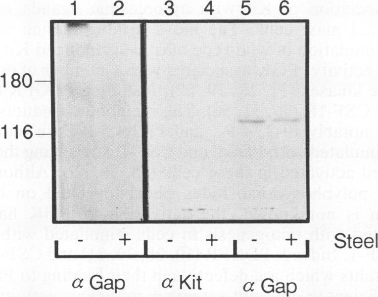https://cdn.ncbi.nlm.nih.gov/pmc/blobs/8d1e/360141/4afb2cf486ae/molcellb00140-0139-a.jpg