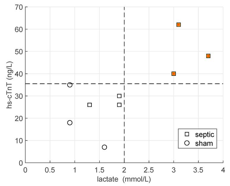 https://cdn.ncbi.nlm.nih.gov/pmc/blobs/8d1f/9024493/c43100803baa/metabolites-12-00319-g001.jpg