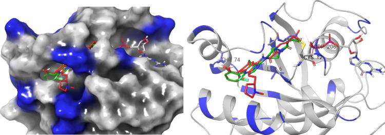 https://cdn.ncbi.nlm.nih.gov/pmc/blobs/8d23/11334105/49d8bac43875/cb4c00217_0003.jpg