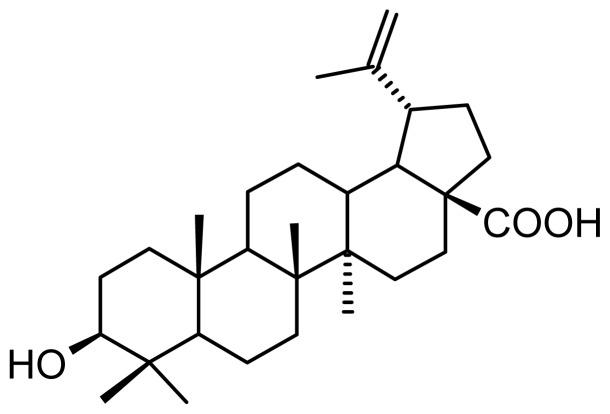 https://cdn.ncbi.nlm.nih.gov/pmc/blobs/8d23/4057729/0528c72daa92/ijms-15-08235f1.jpg
