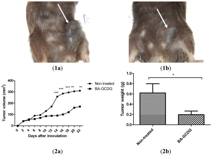 https://cdn.ncbi.nlm.nih.gov/pmc/blobs/8d23/4057729/dbc2ead3e638/ijms-15-08235f8.jpg