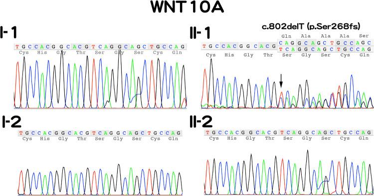 https://cdn.ncbi.nlm.nih.gov/pmc/blobs/8d25/10806032/51ab2051ac30/41439_2023_259_Fig2_HTML.jpg