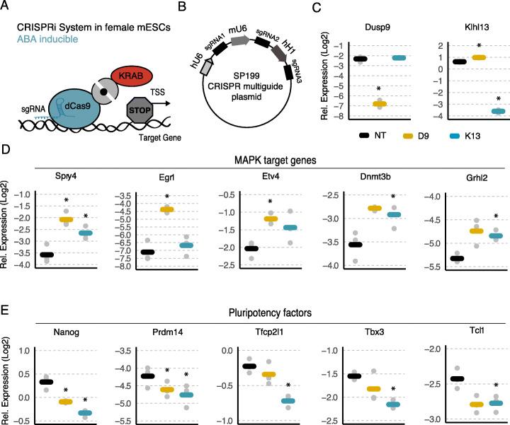 https://cdn.ncbi.nlm.nih.gov/pmc/blobs/8d25/8051100/1f66ffd9d1db/13059_2021_2321_Fig6_HTML.jpg