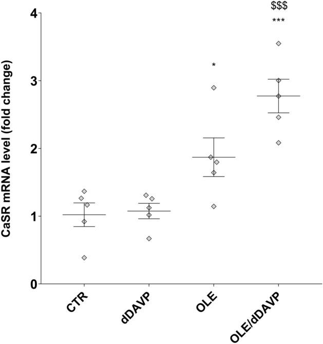 https://cdn.ncbi.nlm.nih.gov/pmc/blobs/8d26/7907100/42d84da5c7f4/41598_2021_83850_Fig6_HTML.jpg