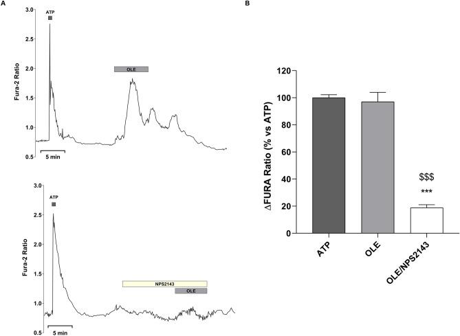 https://cdn.ncbi.nlm.nih.gov/pmc/blobs/8d26/7907100/7ca254d6dc03/41598_2021_83850_Fig4_HTML.jpg