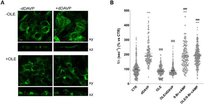 https://cdn.ncbi.nlm.nih.gov/pmc/blobs/8d26/7907100/983709893780/41598_2021_83850_Fig1_HTML.jpg