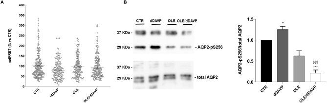 https://cdn.ncbi.nlm.nih.gov/pmc/blobs/8d26/7907100/ec8a37168103/41598_2021_83850_Fig2_HTML.jpg