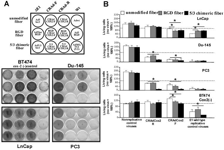 https://cdn.ncbi.nlm.nih.gov/pmc/blobs/8d27/10144787/018afdb3fe4b/viruses-15-00901-g003.jpg