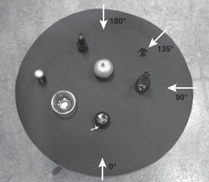 https://cdn.ncbi.nlm.nih.gov/pmc/blobs/8d2a/3783978/8a82ed191163/fnhum-07-00618-g0001.jpg