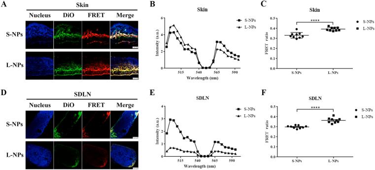 https://cdn.ncbi.nlm.nih.gov/pmc/blobs/8d2b/8105876/c50b7780fb07/gr4.jpg